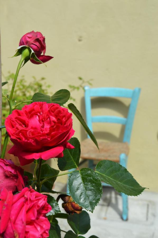 B&B Lady Cocca Savio di Ravenna Buitenkant foto