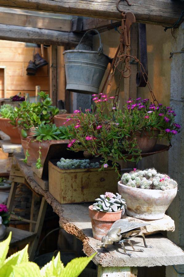 B&B Lady Cocca Savio di Ravenna Buitenkant foto
