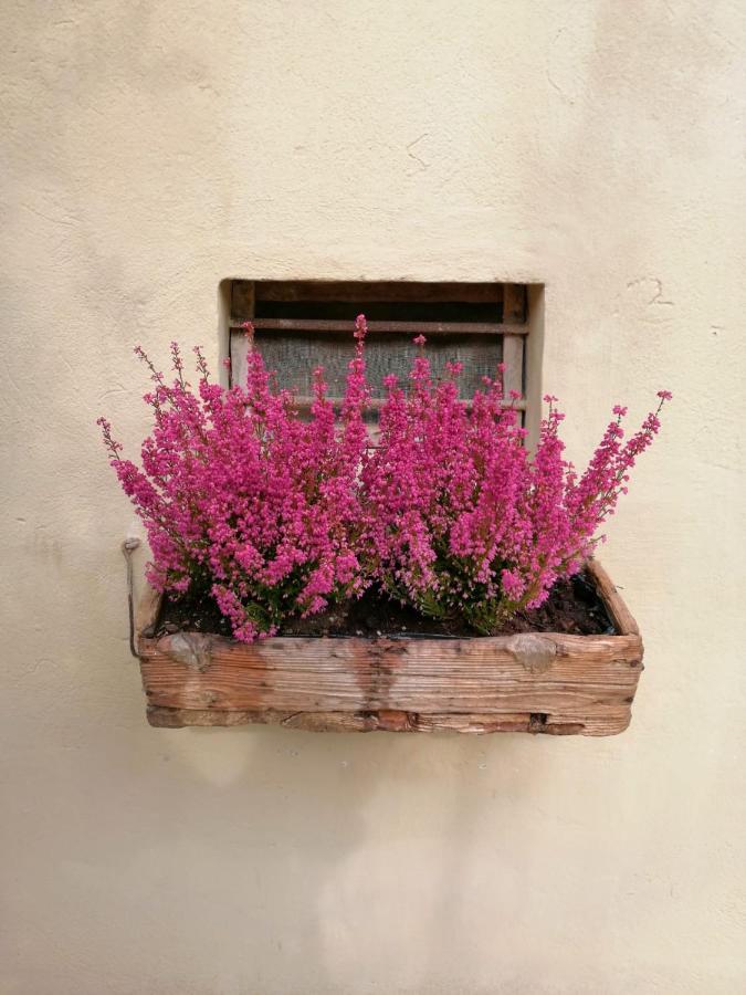 B&B Lady Cocca Savio di Ravenna Buitenkant foto