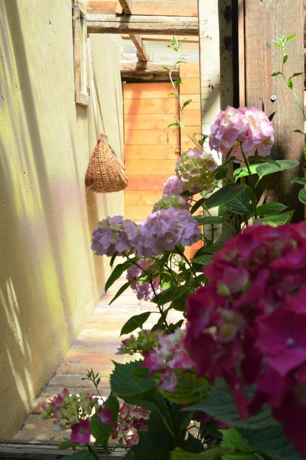 B&B Lady Cocca Savio di Ravenna Buitenkant foto